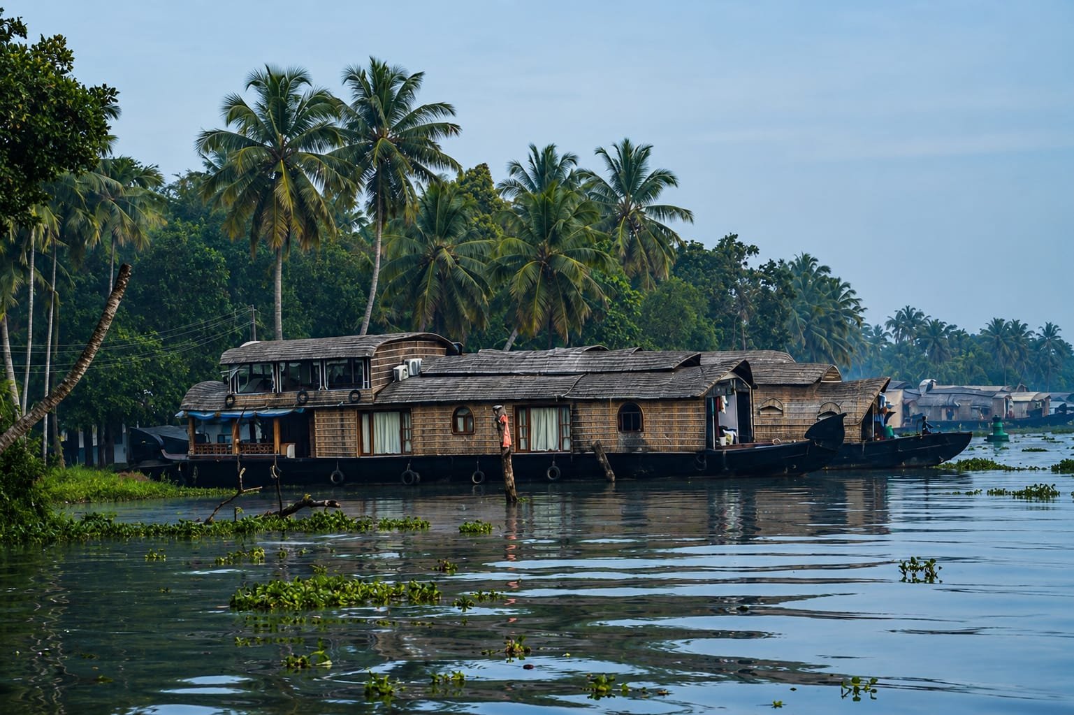 Backwater Cruises