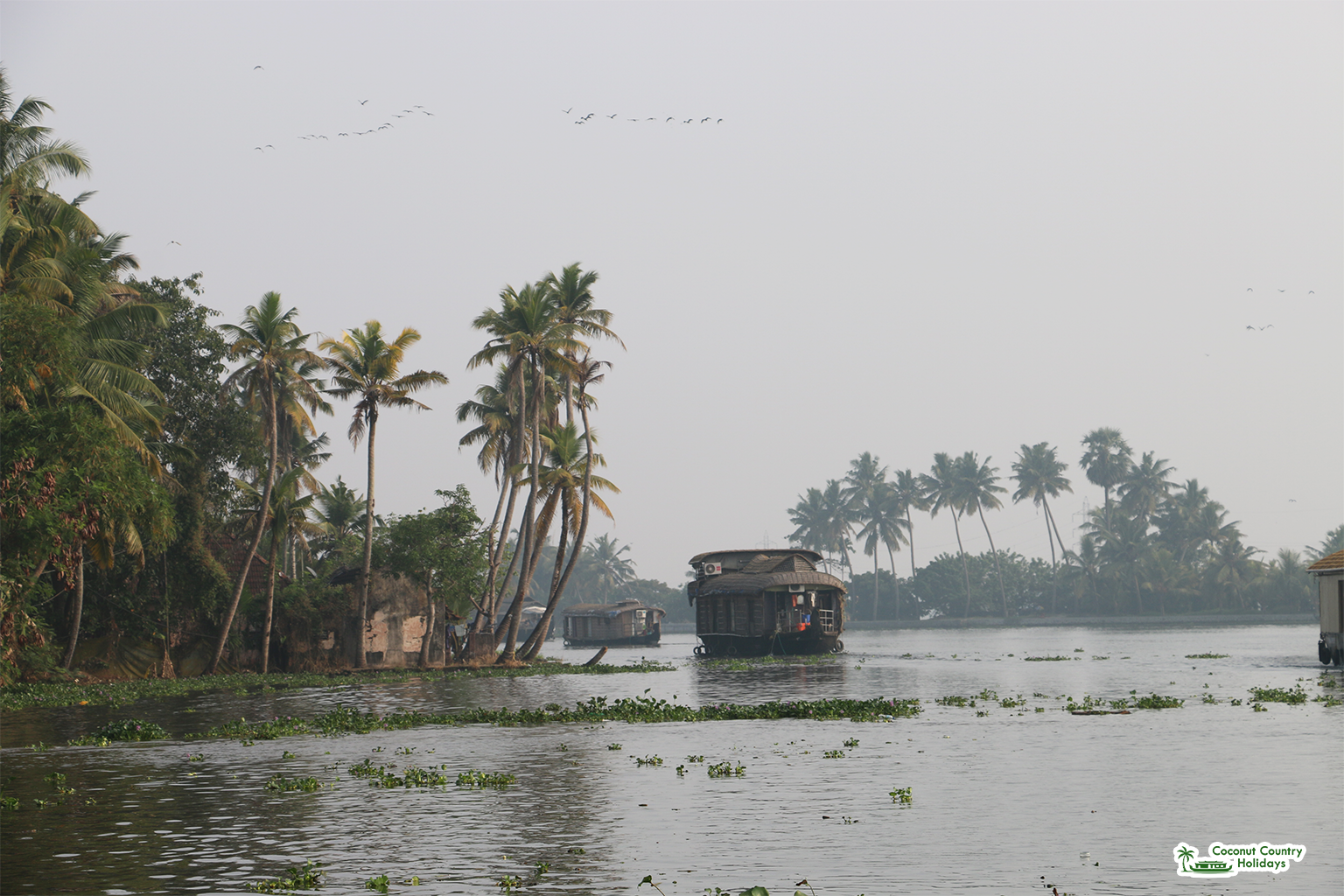 Backwater Views