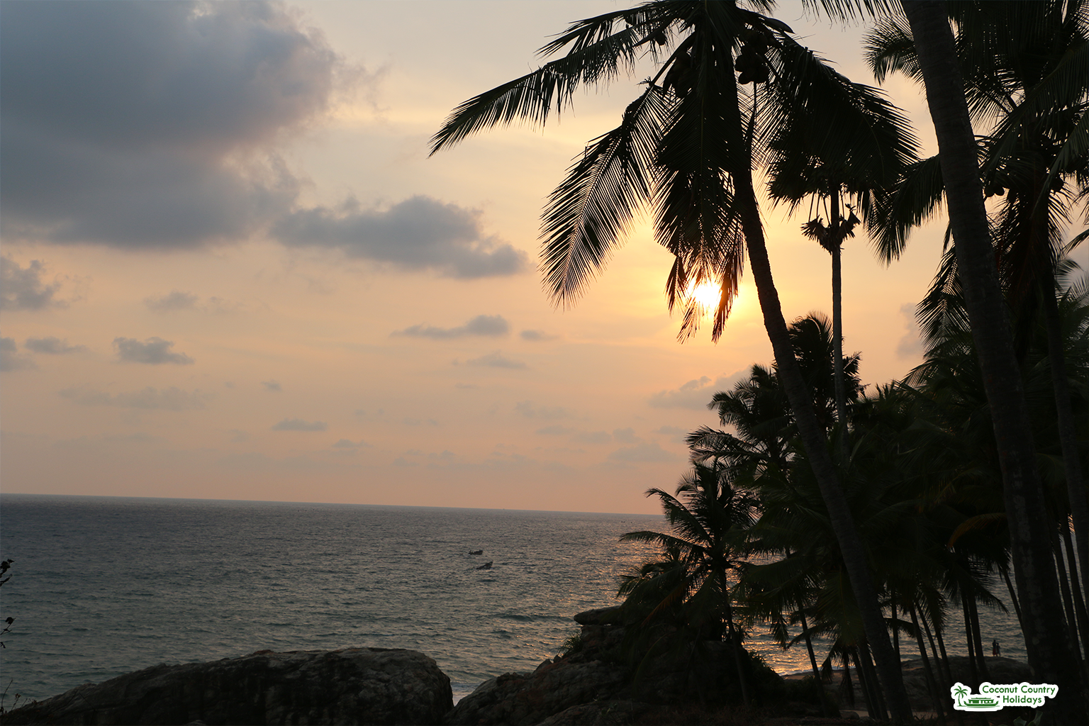 Coastal View