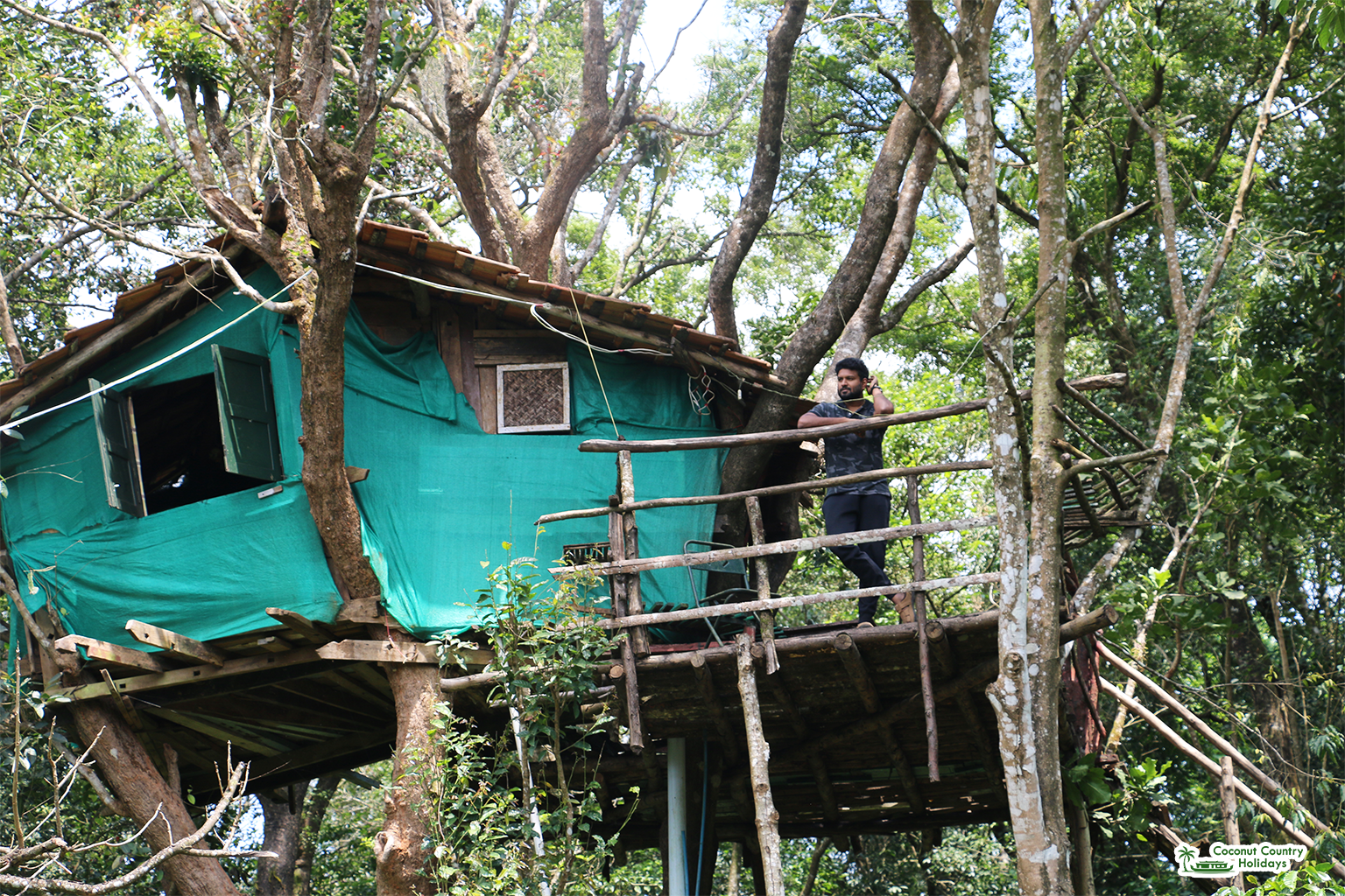 Tree House Retreat
